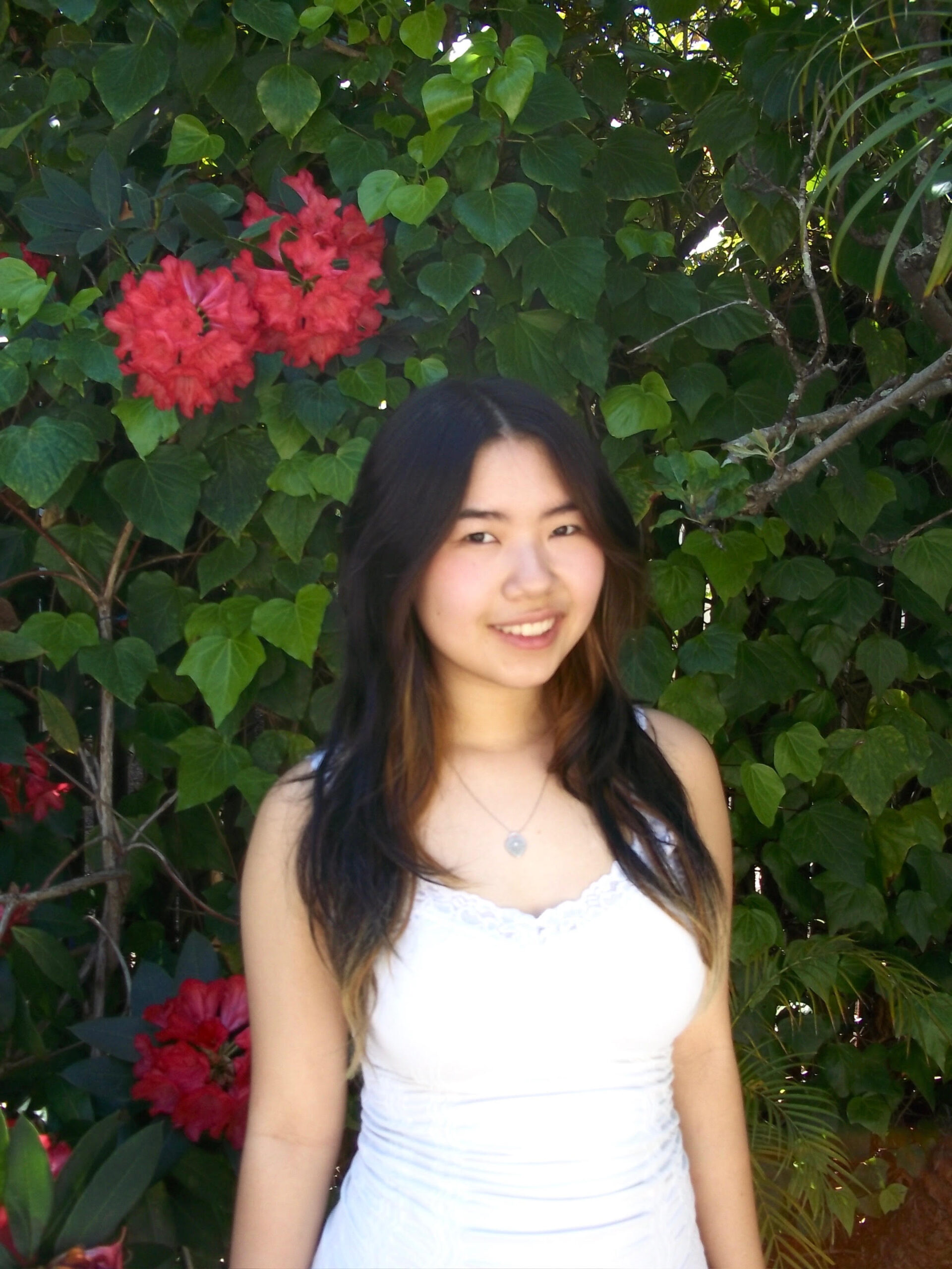 Stella Gong
